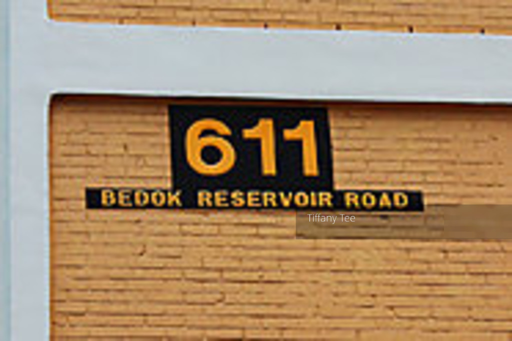 Bedok Reservoir Road thumbnail photo